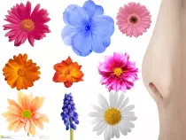 Images/Smell.png