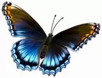 Backupneo/images/th-4.jpg