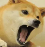 200_s.gif