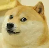 doge.jpg