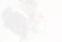 assets/img/content/test.jpg