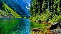 pixpage/Nature.jpg
