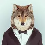 wolf321.jpg