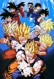 img-dbz/dbz-700.jpg