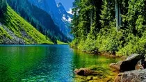 nature_background_wallpaper.jpg