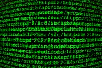 green-hacking_00308875.png