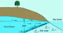 Fresh water.jpg
