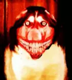 smiledog.gif
