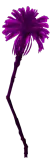 meowave/images/magenta_palm_left.png