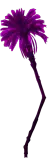 meowave/images/magenta_palm_right.png