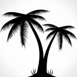 palm.png