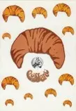 images/jpg1.jpg